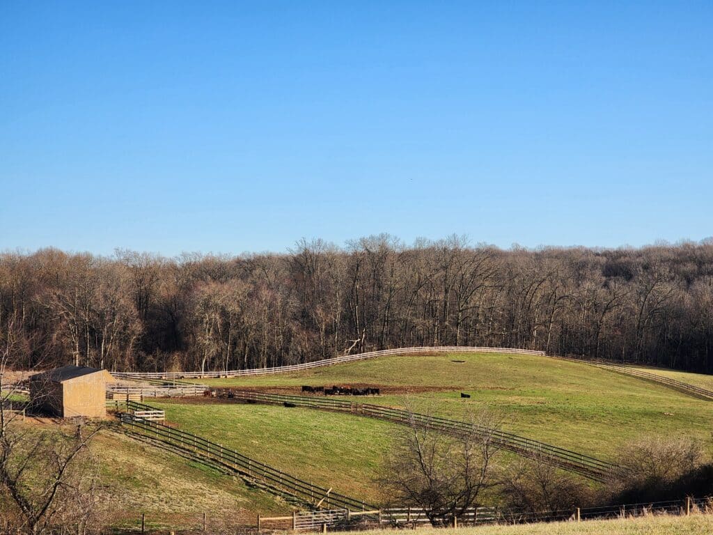 Our Story 2 rocky ridge view 5